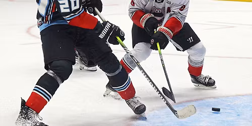 Macon Mayhem at Birmingham Bulls at Pelham Civic Complex