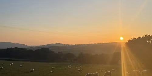 THE SUN: A day of Tarot, Creativity & Vitality