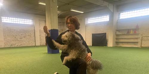 VKK tutustutaan koiratanssiin 