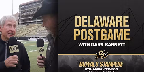 Delaware Blue Hens at Mississippi State Bulldogs Baseball