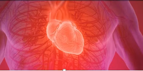 CoxHealth's 10th Annual Heart and Vascular Summit