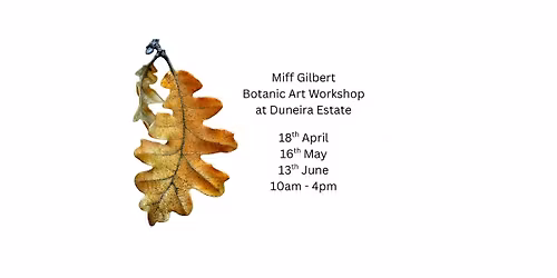 Botanical Art Workshops with Miffy Gilbert