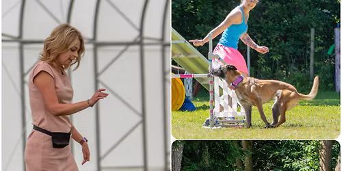 KOPANINSK\u00dd t\u00e1bor agility +dogdancing +hoopers 