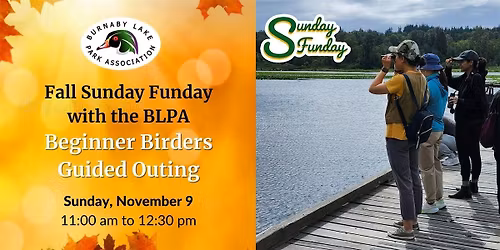 Fall Sunday Funday - Beginner Birders Guided Outing
