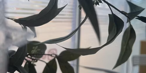 Glow Wellness Workshop