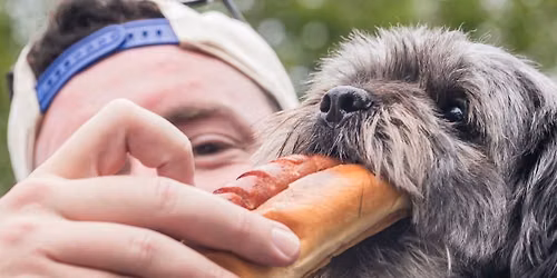 \ud83d\udc3e Dogs for Dogs: Eat, Donate, Adopt \ud83d\udc36 \ud83c\udf2d 