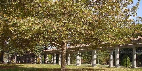 Free Yoga in Central Park
