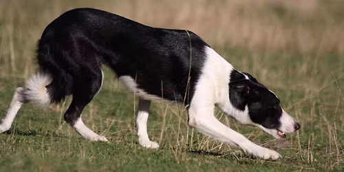 Libu\u0161\u00edn Scudde Trial V. 2025