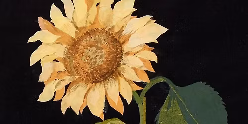 Make Your Own Flower Collage inspired by Mary Delany