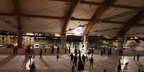 Disco Ball Ice Skating - January