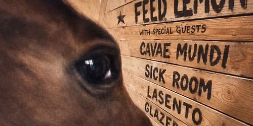 Feed Lemon Live at The Handlebar 