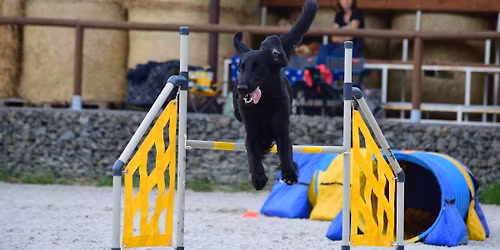 DogSports Beskydy Cup - jumpingy