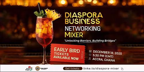 Diaspora Business Networking Mixer