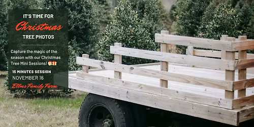 Christmas Tree Minis