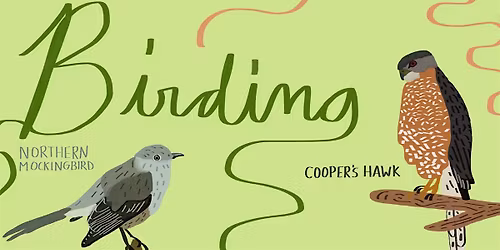 Spring Birding with Gabriel Willow