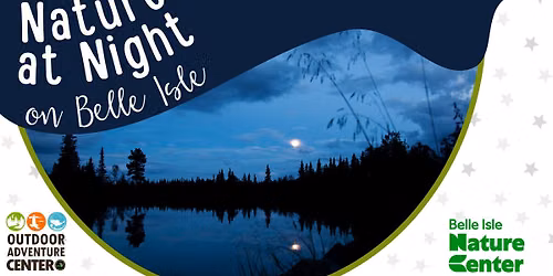 Nature at Night: Nighttime Animals
