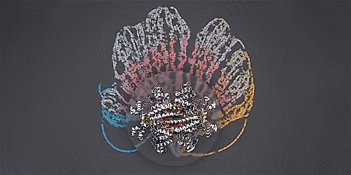 UCL Computational Cancer Collaboratorium Hackathon 2025