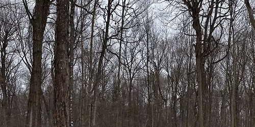 General Membership Annual Meeting