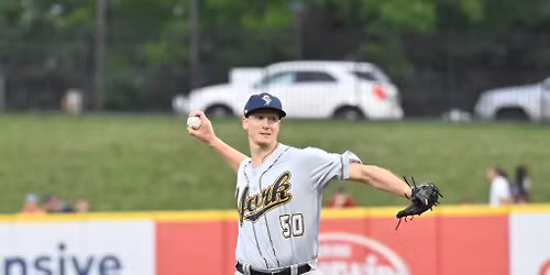 York Revolution at Charleston Dirty Birds at GoMart Ballpark