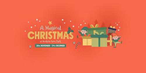A Magical Christmas at Bocketts Farm
