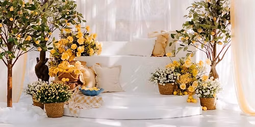 Lemon Drop in the Willow \ud83c\udf4b