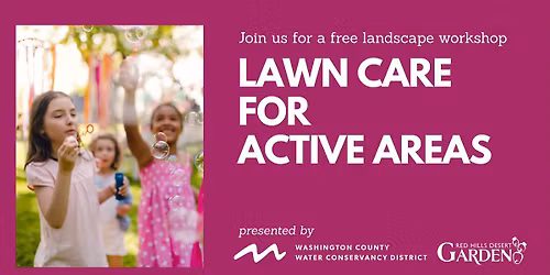 Lawn Care for Active Areas