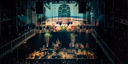 Young Gun Silver Fox in Paradiso