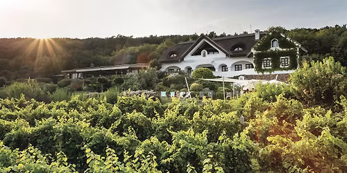 Wine Tasting with Szent Don\u00e1t Winery \u2013 Volcanic Terroir from Csopak