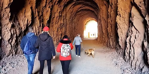 The Avery Burton Foundation presents 5th Annual Hike n' Heal event