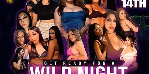 Wild Night with Divine Models @ TIKI PETE in DT San Jose