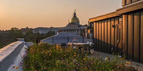Inside\/Out: Rooftops as Resilience