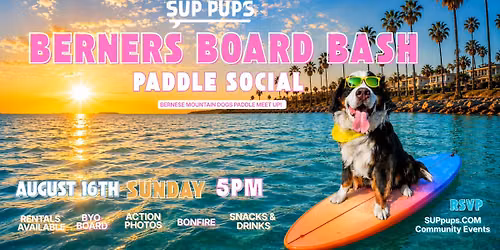 Berners Board Bash Paddle Social
