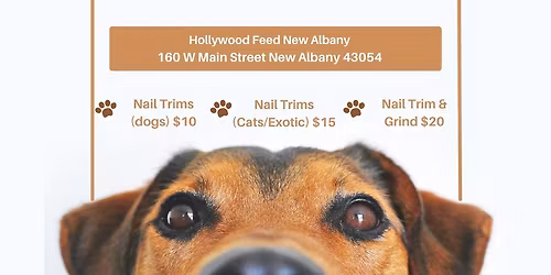 Nail Trims with Luxury Pawz