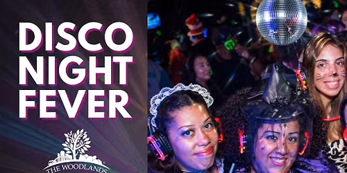 Disco Night Fever