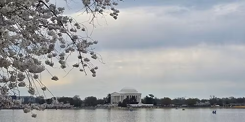 Washington, DC Cherry Blossoms Weekend