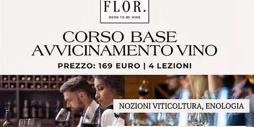 Corso avvicinamento al vino