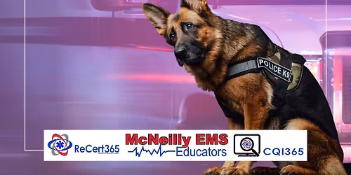 K9 Protocol Practical Course