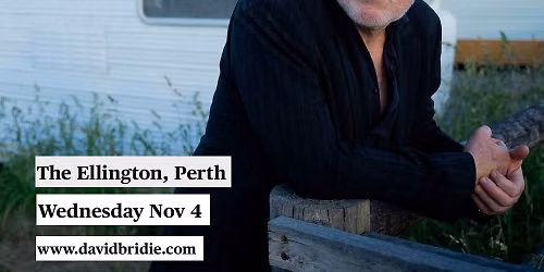 David Bridie, Perth