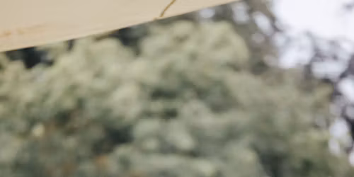 Yoga Retreat: Flexibility and Flow