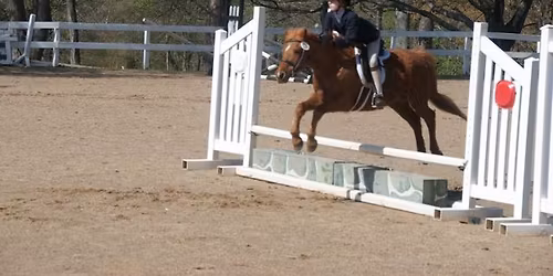 Farmington Hunt Club's 37th Annual Hilltoppers Horse Show