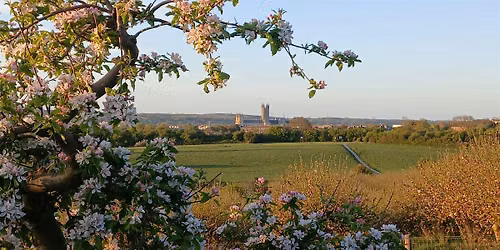 Wincheap Fields - Walk and Writing Workshop 1: Walking for Inspiration