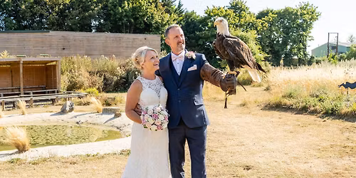 Hawk Conservancy Trust Wedding Fair