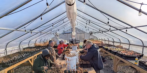 Native Seed Saving & Sowing Workshop