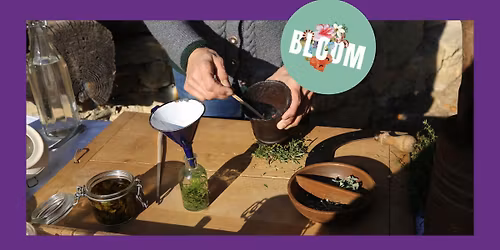 "Bl\u00fchende Medizin" \u00b7 \u00d6sterreichisches Freilichtmuseum St\u00fcbing \u00b7 BLOOM