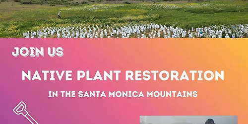 Friday Restoration: Cheeseboro Canyon - Coastal Sage Scrub