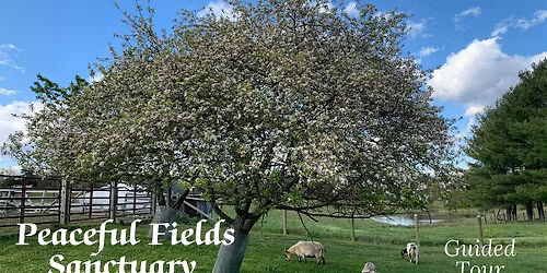 Nov Guided Tour of Peaceful Fields Sanctuary