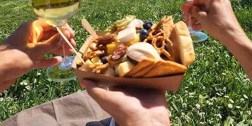 Oppenheimer WeinPicknick 2026 - die Weinprobe