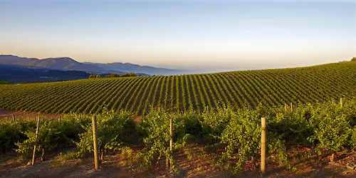 Kincaid's Bloomington - Caymus Vineyards Wine Dinner