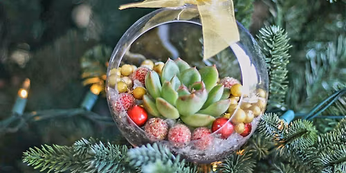 Festive Succulent Ornaments