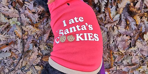 Cannock Chase Tweet Up 